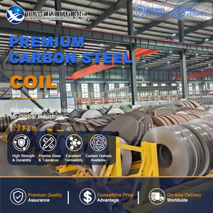Bobina de Acero al Carbono ASTM A1011 S355JR S235JR Laminada en Frío y Recocida de 10mm x 2000mm para Ingeniería - Product Image 1