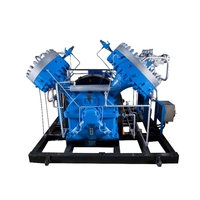 Compresseur de gaz à membrane haute pression pour chlore ammoniacal avec CE