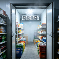 Unit Pendingin Kombinasi Freezer Dinding dengan Kompresor Scroll Suhu Rendah Berpendingin Udara dan Unit Pendingin Evaporator DJ