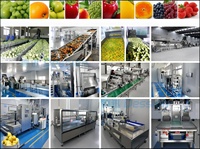 Multi Functionele Mango Fruit Verwerkingslijn Fabrikant 1 T/h Pet Fles Mango Pulp Maken Machine Citroen Productielijn