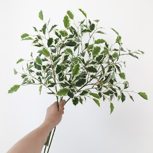 Nuova Pianta Artificiale Verde, Plectranthus a Foglia a Cuore, Baniano Francese in Plastica 80cm, Foglie per Ingegneria Paesaggistica - Product Image 4