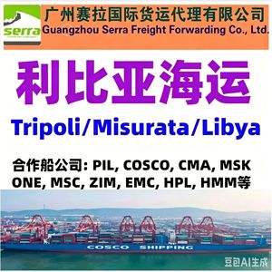 Envío de Contenedores Completos (FCL) de China a Egipto, Puerto Suez, Alejandría, Ruta Mediterránea, Salida desde el Puerto de Guangzhou - Product Image 4