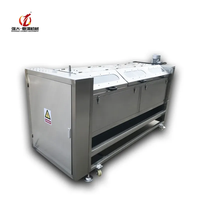 QD Commerciële Automatische Aardappel Fruit Groente Sojaboon Schilverwijderaar Hoge Kwaliteit Restaurantgebruik Hoge Productiviteit Shandong