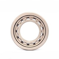 Hot Selling Plastic Molded Cage NJ2236-E-XL-M1 Single-row Cylindrical Bearing With NJ Design