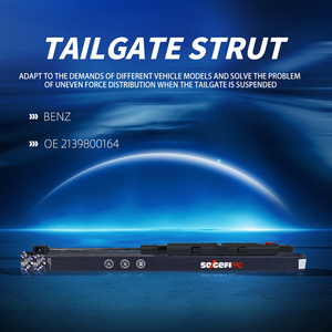 Sogefi động cơ núi hỗ trợ mui xe nâng khí mùa xuân sốc strut trái OE 2139800164 cho Mercedes-Benz E50 E53 1 năm bảo hành - Product Image 4