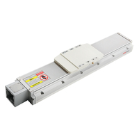Módulo Lineal RXT80 con Guía Lineal de Bola y Servo, Posicionamiento de Alta Precisión, Maquinaria Industrial, Etapa Lineal Totalmente Cerrada