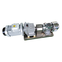 Pompe à rotor - Pompe professionnelle de transport de liquides et de pâtes. Modèles personnalisables disponibles.