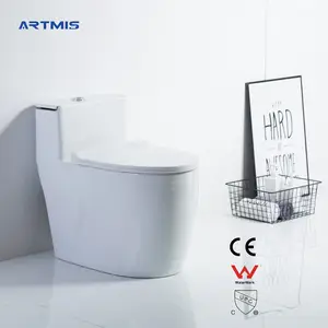 Sıcak satış sıhhi tesisat yüksek kaliteli tek parça tuvalet hindistan kullanılan banyo p ve s kapanı mevcut
