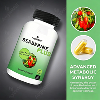 AegleWell OEM Berberine Plus Capsules 100% Pure Puissance Maximale Soutien Métabolique 60 Jours de Consommation 120 Capsules Végétales