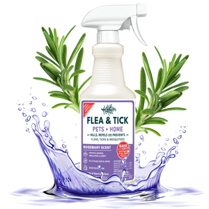 Repelente de Insectos en Aerosol con Aceite de Menta, Control Natural de Insectos en Interiores y Exteriores <span class=keywords><strong>para</strong></span> Arañas, Hormigas, Cucarachas y Más, con Ingredientes a Base de Plantas - Product Image 6