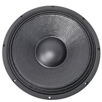 Subwoofer passif professionnel de 15 pouces, 2200W RMS, haut-parleur PA, bobine vocale de 152mm, double aimant en ferrite de 300mm, boîtier métallique pour scène