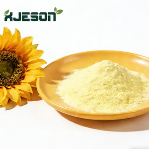 Poudre d'extrait pur de graines de tournesol en promotion – Lécithine de tournesol instantanée à 95 % de phosphatidylcholine - Product Image 1