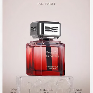 Diffuseur de parfum d'intérieur automobile en verre carré de luxe, personnalisé OEM, pour huiles essentielles longue durée, vente en gros - Product Image 5