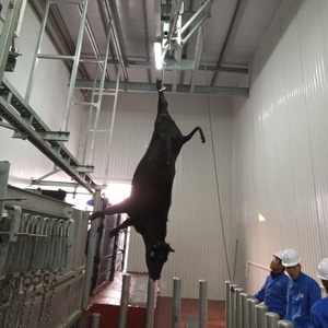 Équipement d'abattage de bovins en acier inoxydable robuste pour abattoir, machine de traitement de viande de <span class=keywords><strong>boucherie</strong></span> - Product Image 4