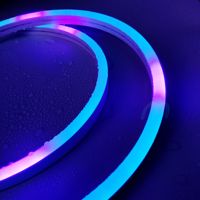 Tira de Luces LED DC12V Inteligente, Flexible, Impermeable para Exteriores, 3535 SMD IP67, Cuerpo de PC, Control Remoto, Control por Aplicación, Jardín, 1m de Longitud