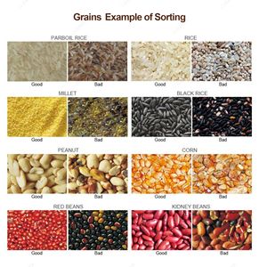 Máquina Clasificadora de Granos por Color con IA Multifunción, Clasificadora Óptica de Mijo, Clasificadora de Arroz y Frijoles Blancos - Product Image 3