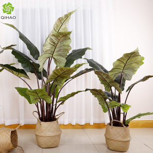 QIHAO <b>Artificial</b> Rainbow Taro Plant 100-200cm High Simulation Indoor Decorative Potted Plant - Product Image 1