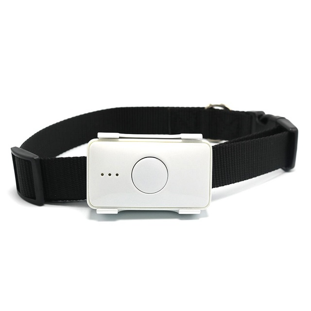Waterproof Mini Collar Gps Tracker for Cat Dog Small Animal Necklace Pets Wireless Gps Tracking Device