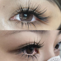 SP Cils 4D Multicouches Camélia, Extensions de Cils Effet Naturel 3D Camélia, Courbures J B C D L M, Volume Cachemire pour Extensions de Cils