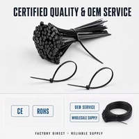 Attaches de câble en nylon PA66 autobloquantes de 2,5*100 mm, usage industriel, certifiées UV, personnalisation OEM pour applications électriques
