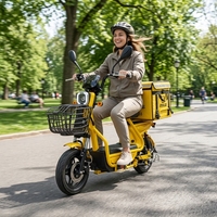 Vélo électrique de livraison CE 72V 500-800W, batterie amovible 12/20Ah, autonomie 45-75km, scooter pour livraison de nourriture