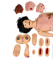 Modelo de Entrenamiento Médico Avanzado para Cuidado de Traumas y Heridas con Cateterización, Material de PVC