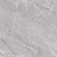 Carrelage en porcelaine effet marbre gris froid 750x1500mm, facile à nettoyer, imperméable, pour sol, mur, salon, hôtel