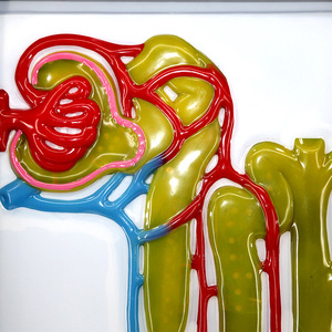 GelsonLab HSEM-004 eléctrico urinario formación modelo urinario camino modelo - Product Image 4