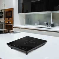 Plaque chauffante électrique à brûleur unique Portable 2000W plaques de cuisson à induction cuisinière électrique multifonction CE CB certificat cuisinière