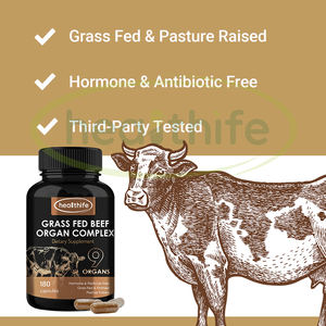 건강 쇠고기 간 심장 신장 뇌 흉선 폐 비장 쓸개 9 복합 캡슐 잔디 먹이 쇠고기 장기 보충 - Product Image 4