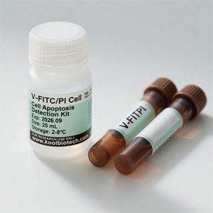 Kit Deteksi Apotosis Annexin V-FITC / <span class=keywords><strong>PI</strong></span> |   Uji Fluoresensi Sensitivitas Tinggi |   Didukung OEM - Product Image 1