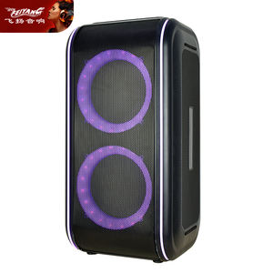 Haut-Parleurs d'Amplificateur de Guitare Super Promotionnels Doubles 6,5 Pouces 30W, <span class=keywords><strong>Baffle</strong></span> Bluetooth Multifonctionnel Coloré Lecteur de Musique Karaoké - Product Image 3
