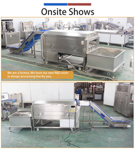 Tanque de remojo y máquina de lavado con cepillos para rábano, remolacha y pastinaca, suministro de fábrica - Product Image 3