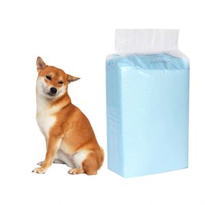 Tapis d'entraînement jetable Casoft pour chiots et chiens, pour l'urination et l'incontinence - Product Image 1