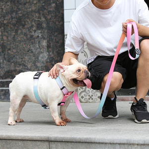 Harnais en <span class=keywords><strong>Nylon</strong></span> en forme de <span class=keywords><strong>H</strong></span>, accessoire haut de gamme, pour chien, Ultra passion, poids, personnalisé - Product Image 6