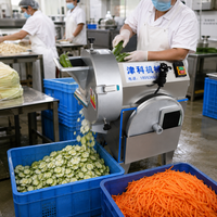 Automatische groente- en fruitsnijmachine voor commerciële keukens en voedselverwerking