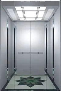 مصعد بانورامي، مصعد فيلا، مصعد بضائع، مصعد ركاب، سلالم متحركة ومتنقلة لمسافات 450 كجم