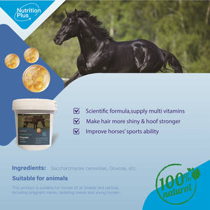 子馬と大人の馬の消化健康のためのプライベートラベル天然プレバイオティクスとプロバイオティクス馬サプリメント - Product Image 4
