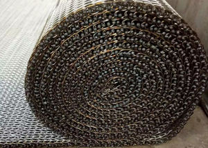 श्रृंखला बढ़त 304 स्टेनलेस स्टील खाद्य सुखाने के लिए यौगिक संतुलित कन्वेयर बेल्ट - Product Image 5