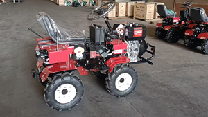 Mini Coltivatore <span class=keywords><strong>Diesel</strong></span> a 4 Ruote per Giardinaggio su Piccole Superfici - Product Image 3