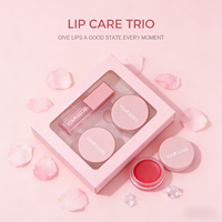 Masque de gommage pour soin des lèvres végétalien personnalisé sans cruauté Kit de glaçure rose Huile pour les lèvres Vente en gros Marque privée Ensemble de soins des lèvres 3-en-1 à la pêche