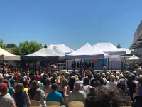 Individuell Bedruckter 10x10 Aluminium-Rahmen Faltbarer Pavillon Wasserdicht Feuerfest Anpassbare Farbe Pop-Up-Zelt für Außenbereich und Messen