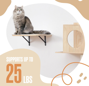Estante de Pared Ecológico y Moderno para Tienda de Mascotas, Hamaca para Gatos, Ventana de Escalada con Rascador para Gatos, Uso Interior y Exterior - Product Image 3
