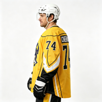 Maillot de hockey sur glace brodé personnalisé, vêtements de hockey sur glace pour hommes, maillots de hockey sur glace vierges