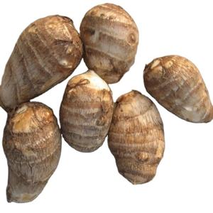 New Crop Fresh Taro Wasser gewaschen Taro Factory Niedriger Preis Taro - Product Image 1
