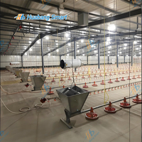 Système d'alimentation automatique pour poulets avec ligne d'eau pour l'équipement d'élevage avicole au sol et machine à poulets de chair