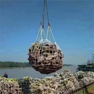 ถุงตาข่ายโพลีโพรพิลีนถักสีขาวแบบกำหนดเองจากโรงงาน สำหรับยกหิน ตาข่ายกั้นน้ำแบบตัดไฮดรอลิก <span class=keywords><strong>FU</strong></span> HAI - Product Image 2