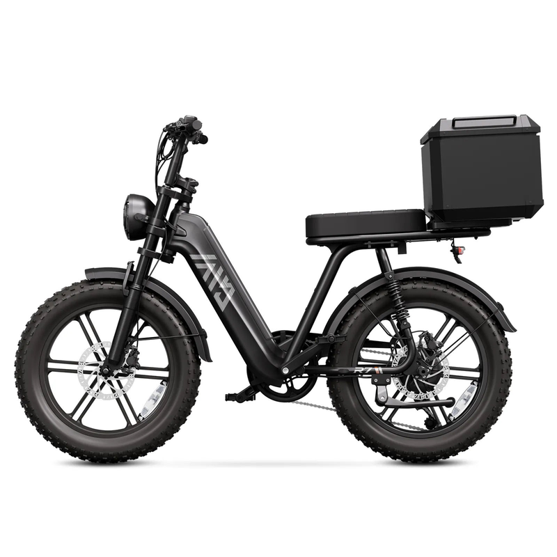 Multi Functional Electric Bike for Food