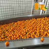 ENAK High Sale Mandarijnen Fruit Groenten Conservenmachine voor Gele Perzik Conservenproductielijn met hoge snelheid