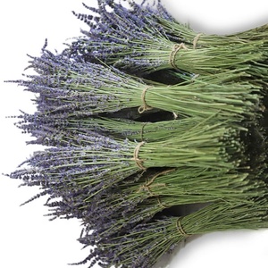 Flor Artificial decorativa hacer conservas de lavanda estabilizado lavanda - Product Image 6